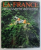 LA FRANCE , DECOUVERTE AERIENNE , textes et commentaires par RAYMOND CHEVALIER et FRANCOIS CALI
