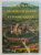 LA ROUMANIE - REGIONS VITICOLES ET TOURISTIQUES  - UNE GUIDE TOURISTIQUE DES VIGNOBLES DU VIN ET DES CHAIS