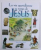 LA VIE QUOTIDIENNE AU TEMPS DE JESUS par MIRIAM FEINBERG - VAMOSH