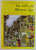 LA VILLE AU MOYEN - AGE par ALAIN  DAG ' NAUD , illustrations d 'ANNE - FRANCOISE COULOUMY , 1999