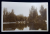 LACUL CISMIGIU  - BUCURESTI , CARTE POSTALA ILUSTRATA , MONOCROMA , CIRCULATA , DATATA 1930