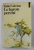 LE BARON PERCHE par ITALO CALVINO , 1981