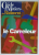 LE CARRELEUR , GUIDE DES METIERS DU BATIMENT , 1998