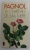 LE CHATEAU DE MA MERE par PAGNOL , 1976