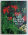 LE GRAND LIVRE DES PLANTES D' INTERIEUR par ROB HERWIG , 1990
