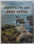 LEGENDES DES SEPT PAYS CELTES par ROMAIN GODEST , 2018