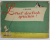 LERNT DEUTSCH SPRECHEN !  von I. BIEM , 1964 , TEXT IN LB, GERMANA