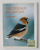 LES OISEAUX DU JARDIN par GUILHEM LESAFFRE , 2009