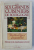 LES SIX GRANDS CUISINIERS DE BOUGOGNE  - RECETTES D ' HIER ET D ' AJOURD ' HUI , preface de BERNARD PIVOT , 1982