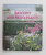 LEXICON OF BALCONY AND PATIO PLANTS - ATTRATCTIVE DESIGNS AND APPROPRIATE PLANTINGS by WOTA WEHMEYER and HERMANN HACKSTEIN , ANII '90