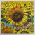 LIFECYCLES - SEED TO SUNFLOWER  by CAMILLA DE LA BEDOYERE , 2009