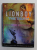 LIONBOY - THE TRUTH by ZIZOU CORDER , 2006