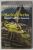 MACHU PICCHU , ORASUL COPIILOR SOARELUI de JORGE LUIS DELGADO , 2024