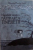 MANIFEST PENTRU PASTRAREA TINERETII  de PAULIN ILUCA , 2010