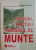MANUAL PENTRU TURISMUL DE MUNTE de FLORIAN FRAZZEI , 2004