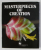 MASTERPIECES OF CREATION 1988