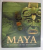 MAYA , DIVINE KINGS OF THE RAIN FOREST EDITED by NIKOLAI GRUBE , 2006
