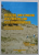 MESOZOIC AND GENOZOIC VERTEBRATES AND PALEOENVIRONENTS , edited by ZOLTAN CSIKI , 2006