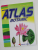 MIC ATLAS BOTANIC de AURORA MIHAIL , 2008