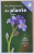 MIC DETERMINATOR DE PLANTE , 158 SPECII , USOR DE IDENTIFICAT de EVA - MARIA DREVER , 2024