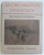 MICHELANGELO' S DRAWINGS - THE SCIENCE OF ATTRIBUTION by ALEXANDER PERRIG , 1991
