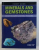 MINERALS AND GEMSTONES - 300 OF THE EARTH'S NATURAL TREASURES by DAVID C. COOK and WENDY L. KIRK, 2008