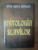 MITOLOGIA SLAVILOR de ANCA IRINA IONESCU