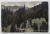 MUNTII  RETEZATULUI , VARFUL OSLEA , 2000 METRI ALTITUDINE , VEDERE , CARTE POSTALA ILUSTRATA , INTERBELICA