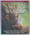 NATURAL WORLD by DUNCAN BREWER ...PETER RILEY , VISUAL FACTFINDER , 2004