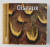OISEAUX : GUIDE TOUT RECONNAITRE DANS LA NATURE , 2010