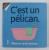 OUVRE ET DECOUVRE , C ' EST UN PELICAN , illustre par HEATH MCKENZIE , 2019