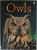 OWLS by EMILY BONE , illustrated by JENNY COOPER and RICHARD WATSON , 2013