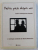 PATRU PIESE DESPRE NOI  - TEATRU CONTEMPORAN IRLANDEZ , o antologie alcatuita de ANDREI MARINESCU , 2002