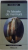 PE FALEZELE DE MARMURA - ROMAN de ERNST JUNGER , 2005
