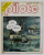PILOTE , MENSUEL , REVISTA CU BENZI DESENATE , TEXT IN LB. FRANCEZA , NR. 41 , OCTOBRE , 1977