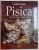 PISICA , COMPORTAMENT , INGRIJIRI , RASE , LAROUSSE , 2006