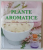 PLANTE AROMATICE , CULTIVARE , GASTRONOMIE , COSMETICA , EFECTE TERAPEUTICE de ANDREA RAUSCH si BRIGITTE LOTZ , 2010