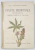 PLANTE MEDICINALI D 'ITALIA , SPONTANEE E COLTIVATE SU VASTA SCALA di FRANCESCO PANINI , 1925 , COTOR CU  DEFECTE , TEXT IN LB. ITALIANA