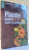 PLANTE PENTRU OASE SI ARTICULATII dfe DAVID HOFFMANN , 2007