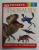 POCKETS - DINOSAURS , POCKETS FULL OF KNOWLEDEGE , 1995, FORMAT REDUS