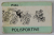 POLISPORTIVE , MINIALBUM DE CARICATURI de PALL , ANII '70
