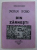 POPA PISO DIN ZARNESTI de MIHAI RADULESCU , 1994