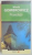 POSEDATII de WITOLD GOMBROWICZ , 2006
