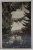 PREDEAL , HOTELUL  '' PREDEAL PALACE '' , CARTE POSTALA ILUSTRATA , 1942