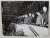 PREZIDIUL CONGRESULUI AL VIII - LEA AL P.C.I , LA INTONAREA IMNULUI , ROMA , FOTOGRAFIE DE PRESA , 1956