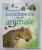 PRIMA MEA ENCICLOPEDIE DESPRE ANIMALE de PAUL DOWSWELL , 2020