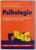 PSIHOLOGIE - COMPENDIU PENTRU BACALAUREAT SI ADMITERE IN FACULTATE , coordonator ANDREI COSMOVICI , 1998