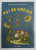 PUI DE GREIER de DOMNITA GEORGESCU MOLDOVEANU , ilustratii de V. GRESCENCO , ANII '90