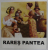 RARES PANTEA , CATALOG DE EXPOZITIE , ANII '2000