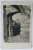 RASNOV , IMAGINE DIN CETATE , FOTOGRAFIE TIP CARTE POSTALA , 1933